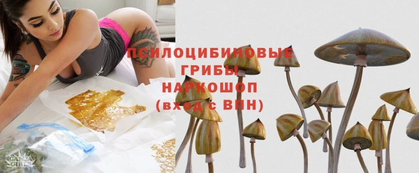 стаф Алексеевка