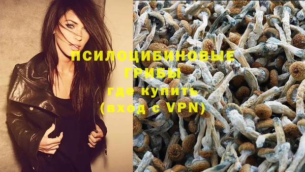 стаф Алексеевка