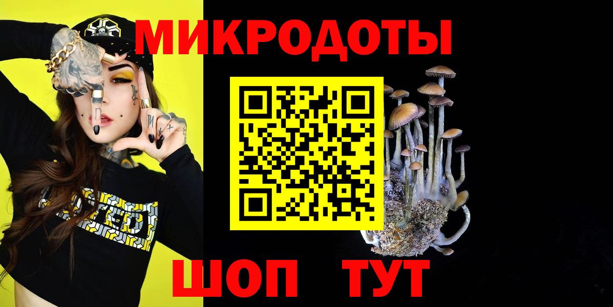Галлюциногенные грибы Magic Shrooms Курганинск